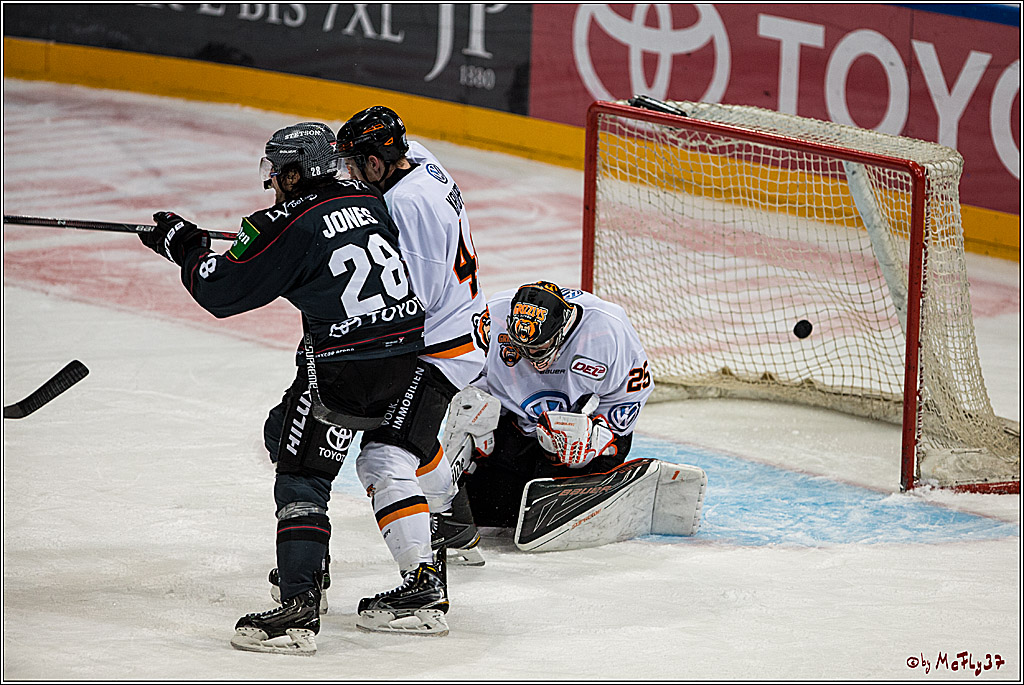 Koelner Haie - Grizzlys Wolfsburg, 16.10.2016, 16.10.2016
